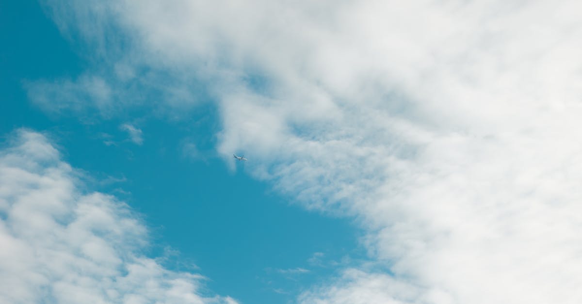 découvrez des vols pas chers pour vos prochaines aventures ! comparez les prix et trouvez les meilleures offres de billets d'avion, pour voyager sans vous ruiner.