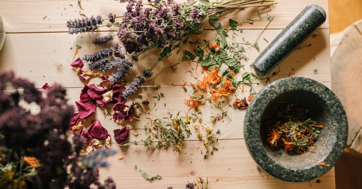 découvrez des remèdes naturels efficaces pour améliorer votre bien-être au quotidien. explorez des solutions alternatives à base de plantes et de produits naturels pour soulager divers maux et favoriser une santé optimale.