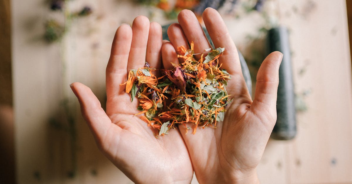 découvrez des remèdes naturels efficaces pour améliorer votre bien-être et soulager divers maux au quotidien. explorez des solutions simples et saines pour prendre soin de votre santé.