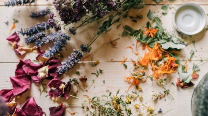 natural remedies découvrez des remèdes naturels efficaces pour améliorer votre bien-être. explorez des solutions à base de plantes, d'huiles essentielles et d'autres ingrédients naturels pour traiter divers maux et renforcer votre santé.