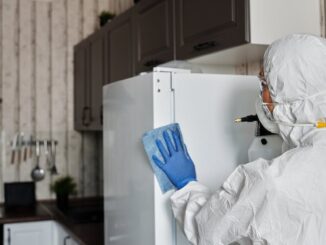 découvrez notre service de nettoyage professionnel, spécialisé dans l'entretien de vos espaces résidentiels et commerciaux. nos équipes expérimentées garantissent propreté et hygiene, avec des produits respectueux de l'environnement. contactez-nous pour un devis personnalisé!