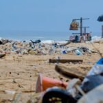 découvrez tout sur le plastique : ses types, ses usages variés, les enjeux environnementaux liés à sa production et à son recyclage. explorez les innovations durables qui redéfinissent notre rapport à ce matériau omniprésent.