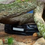 découvrez nos solutions d'assurance auto adaptées à vos besoins. protégez votre véhicule avec des couvertures complètes, une assistance 24/7 et des tarifs compétitifs. obtenez un devis en ligne rapidement et roulez l'esprit tranquille!