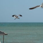 assurez votre bateau avec une protection complète adaptée à vos besoins. profitez d'une couverture fiable pour naviguer en toute sérénité. découvrez nos options d'assurance bateau et obtenez un devis personnalisé dès aujourd'hui!