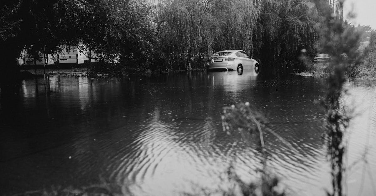 découvrez notre comparateur d'assurances auto pour trouver la meilleure couverture au meilleur prix. comparez les offres des principaux assureurs et économisez sur votre prime d'assurance automobile en quelques clics.