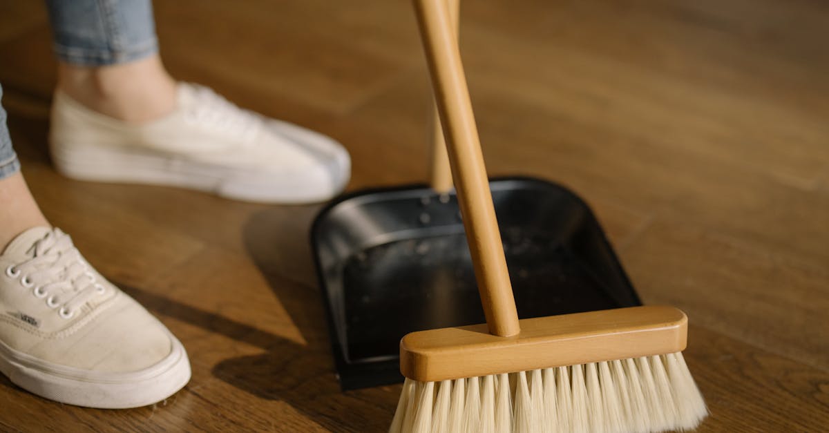 découvrez nos astuces et conseils pour un nettoyage efficace et écologique de votre maison. apprenez les meilleures techniques pour garder votre espace propre et frais, tout en respectant l'environnement.