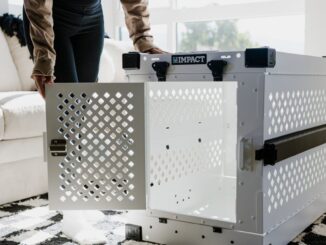 découvrez notre garantie décennale, un engagement de qualité et de sécurité pour vos travaux de construction. bénéficiez d'une protection fiable pendant 10 ans contre les vices cachés et les malfaçons, assurant ainsi la pérennité de vos projets immobiliers.