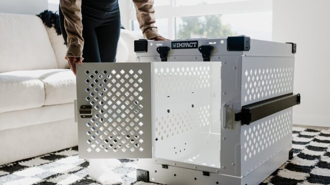découvrez notre garantie décennale, un engagement de qualité et de sécurité pour vos travaux de construction. bénéficiez d'une protection fiable pendant 10 ans contre les vices cachés et les malfaçons, assurant ainsi la pérennité de vos projets immobiliers.