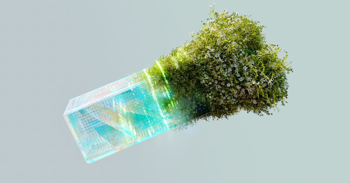 découvrez comment la transformation digitale révolutionne les entreprises en améliorant l'efficacité, en favorisant l'innovation et en répondant aux besoins des clients grâce aux nouvelles technologies.