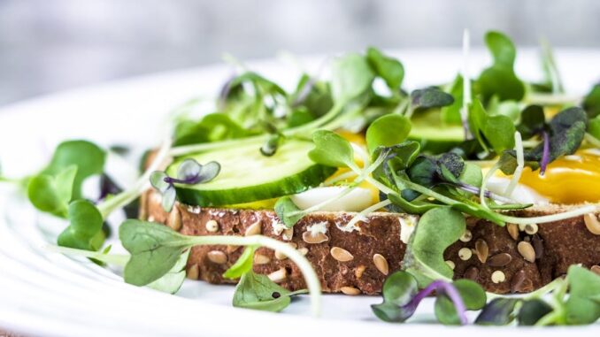 green salads découvrez nos délicieuses recettes de salades vertes, fraîches et saines, parfaites pour accompagner vos repas ou comme plat principal léger. idéales pour une alimentation équilibrée, nos salades sont pleines de saveurs et de couleurs.