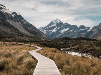 découvrez comment identifier et localiser les adresses ip sur votre réseau grâce à des outils et techniques efficaces. optimisez la gestion de votre infrastructure réseau avec notre guide sur la découverte des adresses ip.