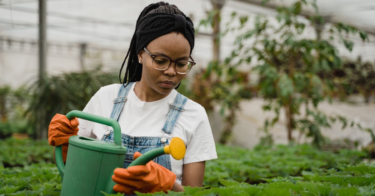 découvrez nos conseils essentiels pour un arrosage efficace des plantes. apprenez à identifier les besoins en eau de vos végétaux et à éviter les erreurs courantes pour assurer leur santé et leur croissance.