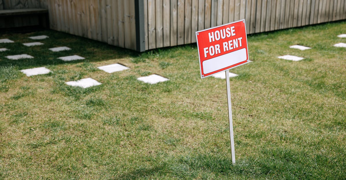 découvrez notre service de location qui répond à tous vos besoins ! que ce soit pour des voitures, des appartements ou des équipements, trouvez les meilleures offres de location près de chez vous. profitez d'une expérience facile et rapide pour louer ce dont vous avez besoin.
