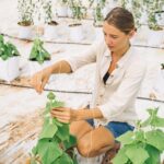 découvrez les innovations en technologie agricole qui révolutionnent le secteur. explorez les avancées en matière d'agriculture de précision, d'outils numériques et de solutions durables pour améliorer la productivité et préserver l'environnement.
