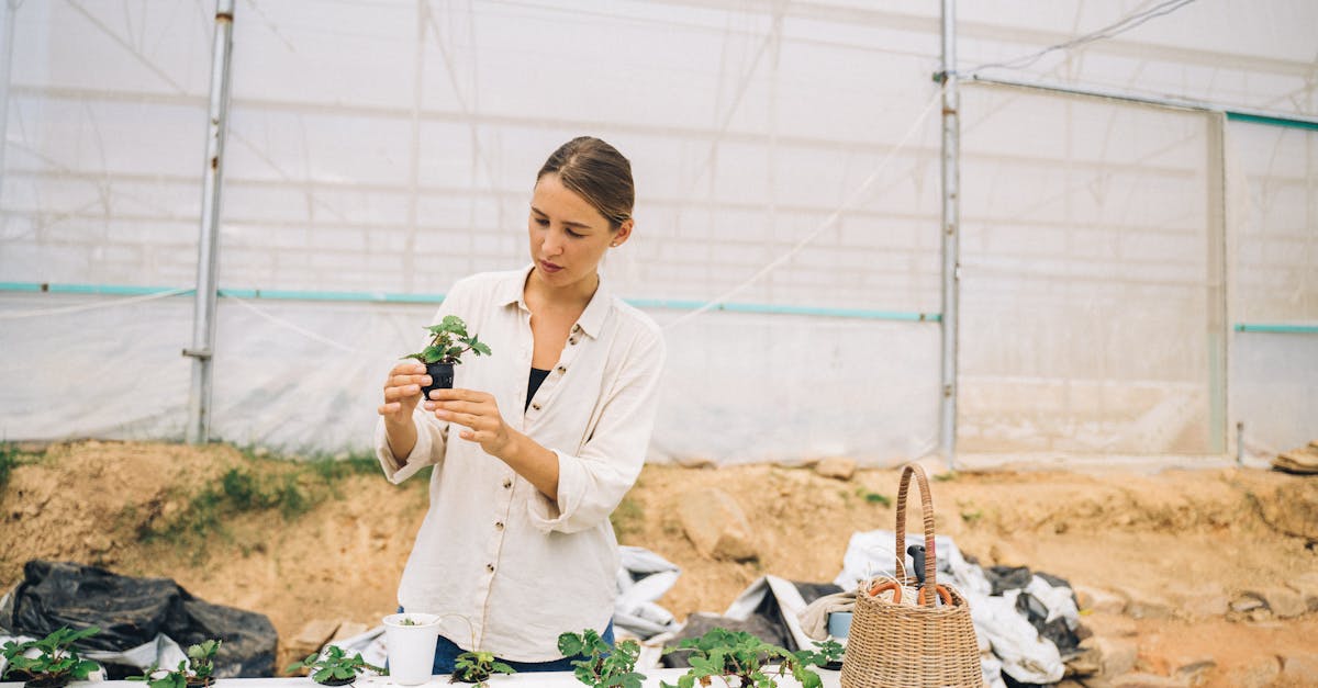 découvrez les dernières innovations en technologie agricole qui révolutionnent le secteur. des solutions durables et efficaces pour optimiser votre production et garantir un avenir meilleur pour l'agriculture.