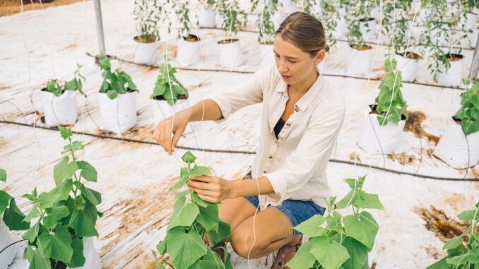 agricultural technology découvrez les innovations en technologie agricole qui révolutionnent le secteur. explorez les avancées en matière d'agriculture de précision, d'outils numériques et de solutions durables pour améliorer la productivité et préserver l'environnement.