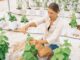 découvrez les innovations en technologie agricole qui révolutionnent le secteur. explorez les avancées en matière d'agriculture de précision, d'outils numériques et de solutions durables pour améliorer la productivité et préserver l'environnement.