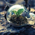 découvrez des stratégies efficaces pour favoriser la croissance de votre entreprise. apprenez à optimiser vos ressources, attirer de nouveaux clients et augmenter vos revenus grâce à des conseils pratiques et des succès inspirants.