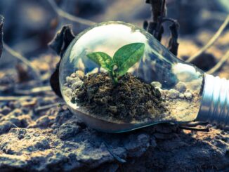découvrez des stratégies efficaces pour favoriser la croissance de votre entreprise. apprenez à optimiser vos ressources, attirer de nouveaux clients et augmenter vos revenus grâce à des conseils pratiques et des succès inspirants.