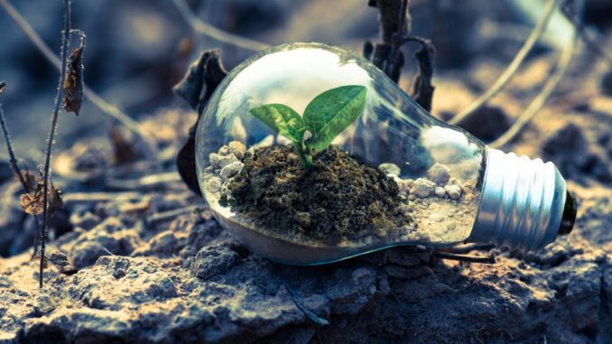 business growth découvrez des stratégies efficaces pour favoriser la croissance de votre entreprise. apprenez à optimiser vos ressources, attirer de nouveaux clients et augmenter vos revenus grâce à des conseils pratiques et des succès inspirants.