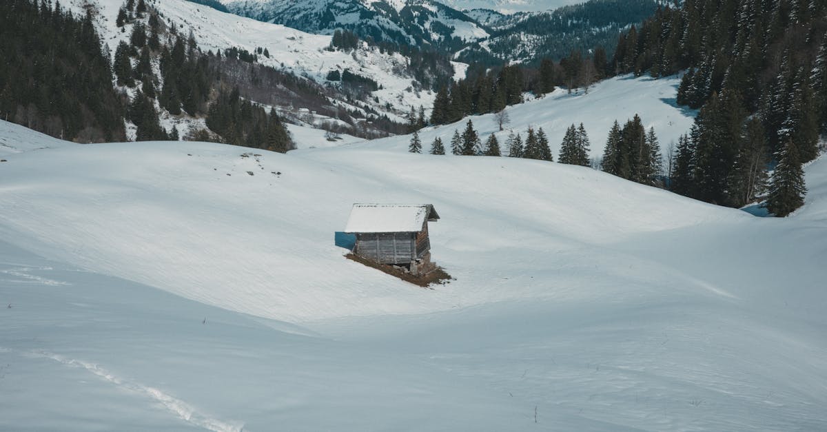 découvrez la clusaz, station de ski emblématique des alpes françaises, offrant des domaines skiables variés, des paysages à couper le souffle et une ambiance chaleureuse. profitez d'activités de montagne toute l'année et d'une atmosphère conviviale dans ce village alpin pittoresque.