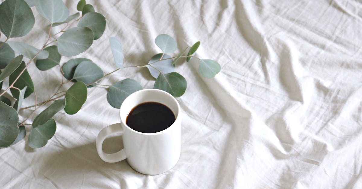découvrez l'univers du café : des variétés savoureuses, des méthodes de préparation innovantes et des conseils pour savourer chaque tasse. plongez dans la culture du café et éveillez vos sens avec nos articles passionnants.