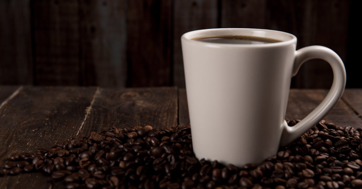 découvrez l'univers du café avec nos astuces, recettes et meilleures variétés. apprenez tout sur cette boisson incontournable, des méthodes de préparation aux bienfaits pour la santé.