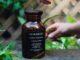 découvrez les secrets de la digestion : son processus, son importance pour la santé et des conseils pour améliorer votre bien-être digestif. apprenez comment l'alimentation, le mode de vie et les remèdes naturels peuvent influencer votre digestion.
