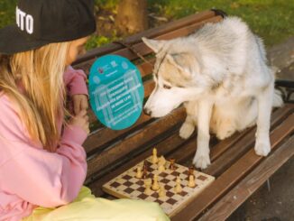 découvrez notre service de garde de chiens, offrant un hébergement confortable et bienveillant pour votre fidèle compagnon. profitez de l'esprit tranquille tout en sachant que votre chien est choyé et en sécurité dans un environnement adapté.