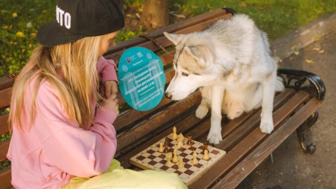 dog boarding découvrez notre service de garde de chiens, offrant un hébergement confortable et bienveillant pour votre fidèle compagnon. profitez de l'esprit tranquille tout en sachant que votre chien est choyé et en sécurité dans un environnement adapté.