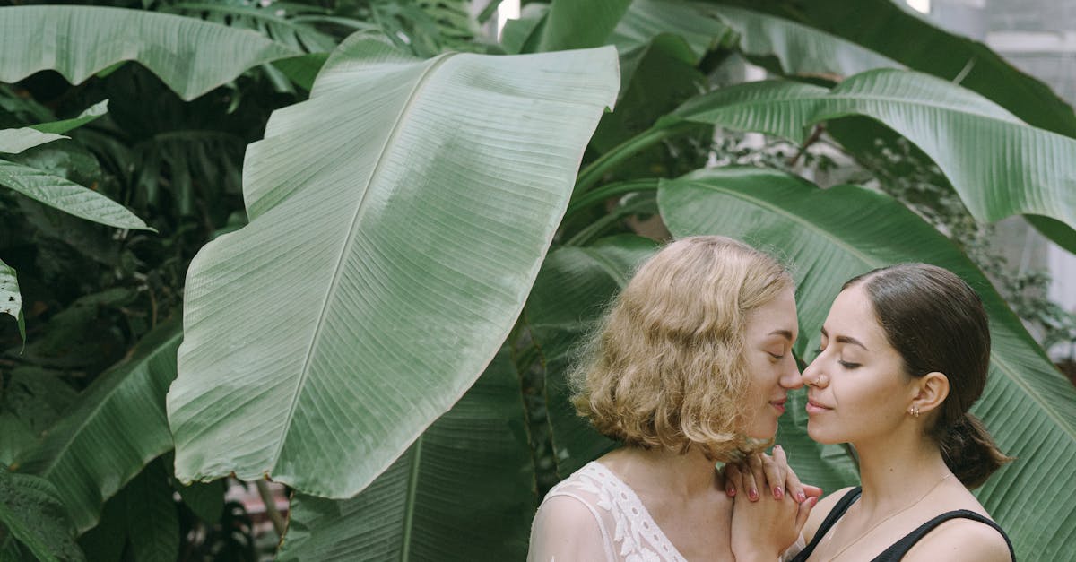 découvrez l'univers fascinant du désir féminin, explorant ses nuances, ses émotions et son impact sur les relations. plongez dans une réflexion profonde sur la sensualité et l'épanouissement personnel.