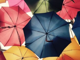 découvrez tout ce que vous devez savoir sur l'assurance : types de polices, conseils pour choisir la meilleure couverture et astuces pour économiser sur vos primes. protégez votre avenir et vos biens avec les solutions adaptées à vos besoins.