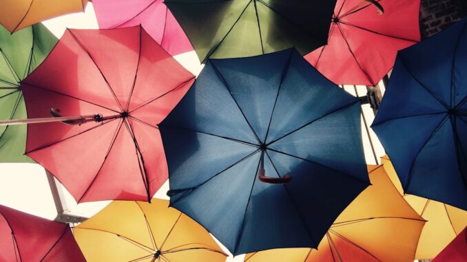 insurance découvrez tout ce que vous devez savoir sur l'assurance : types de polices, conseils pour choisir la meilleure couverture et astuces pour économiser sur vos primes. protégez votre avenir et vos biens avec les solutions adaptées à vos besoins.