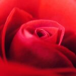 découvrez notre collection de cadeaux sensuels, spécialement conçus pour éveiller vos sens et sublimer vos moments d'intimité. offrez une expérience inoubliable avec des articles raffinés et tentants, parfaits pour séduire et se faire plaisir.