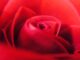 découvrez notre collection de cadeaux sensuels, spécialement conçus pour éveiller vos sens et sublimer vos moments d'intimité. offrez une expérience inoubliable avec des articles raffinés et tentants, parfaits pour séduire et se faire plaisir.