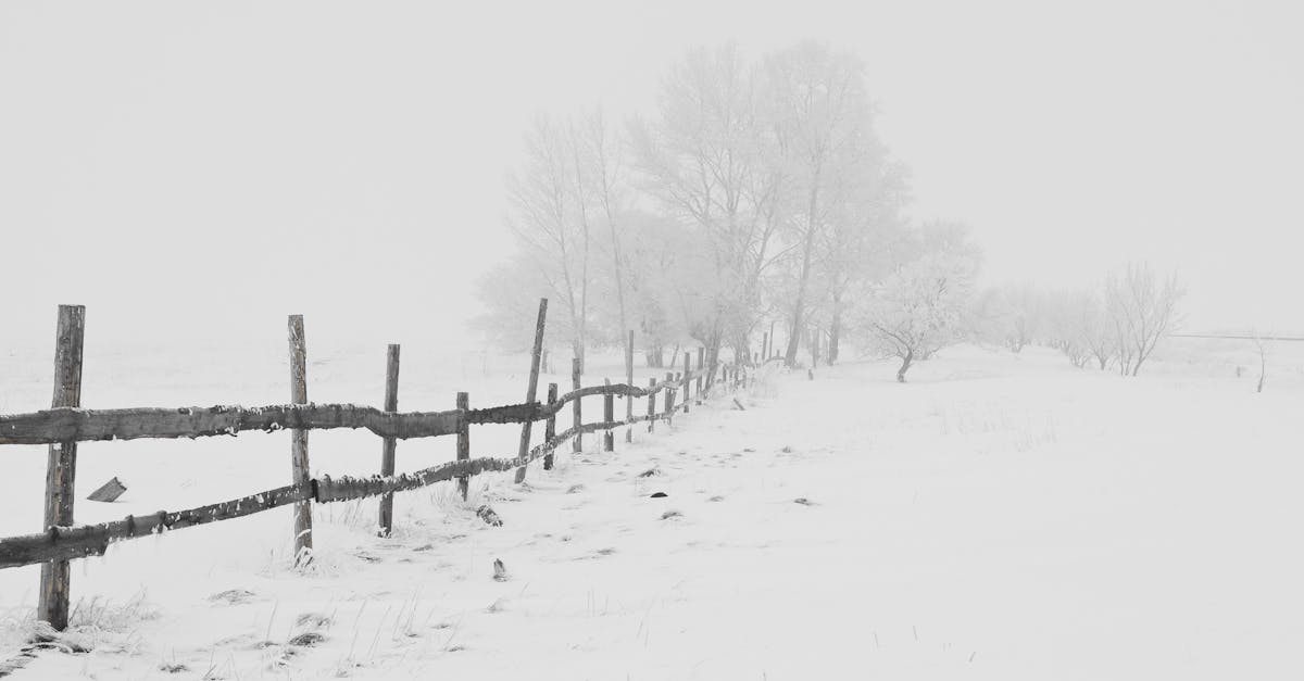 découvrez l'univers magique de la neige avec notre guide complet sur les sports d'hiver, les destinations enneigées et les conseils pour profiter au maximum de votre expérience sous la neige.
