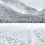 découvrez la magie de la neige : ses paysages enchanteurs, ses activités hivernales et ses moments de pure adrénaline. plongez dans l'univers fascinant des sports d'hiver et laissez-vous emporter par la beauté des flocons et la sérénité des montagnes enneigées.
