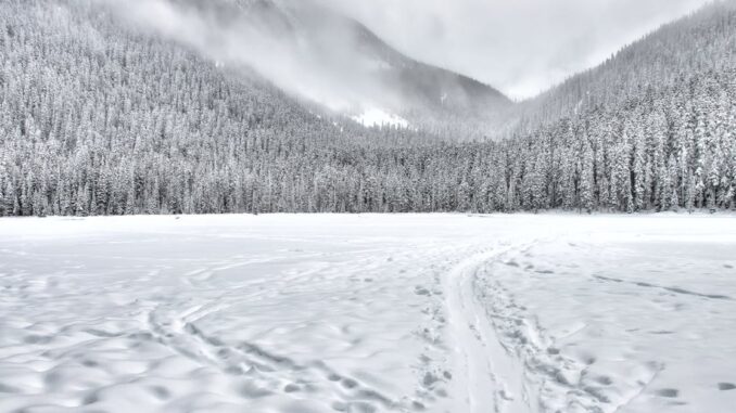 snow découvrez la magie de la neige : ses paysages enchanteurs, ses activités hivernales et ses moments de pure adrénaline. plongez dans l'univers fascinant des sports d'hiver et laissez-vous emporter par la beauté des flocons et la sérénité des montagnes enneigées.