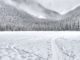 découvrez la magie de la neige : ses paysages enchanteurs, ses activités hivernales et ses moments de pure adrénaline. plongez dans l'univers fascinant des sports d'hiver et laissez-vous emporter par la beauté des flocons et la sérénité des montagnes enneigées.