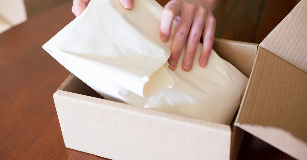 découvrez les solutions d'emballage durable qui protègent l'environnement tout en répondant aux besoins de votre entreprise. adoptez des pratiques respectueuses de l'écologie avec nos emballages innovants, recyclables et biodégradables.