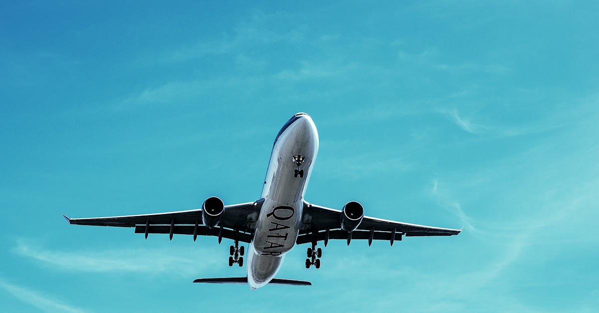 découvrez nos services de transport fiables et adaptés à vos besoins. que ce soit pour un déménagement, un transport de marchandises ou des services de livraison, nous garantissons une solution rapide et sécurisée.