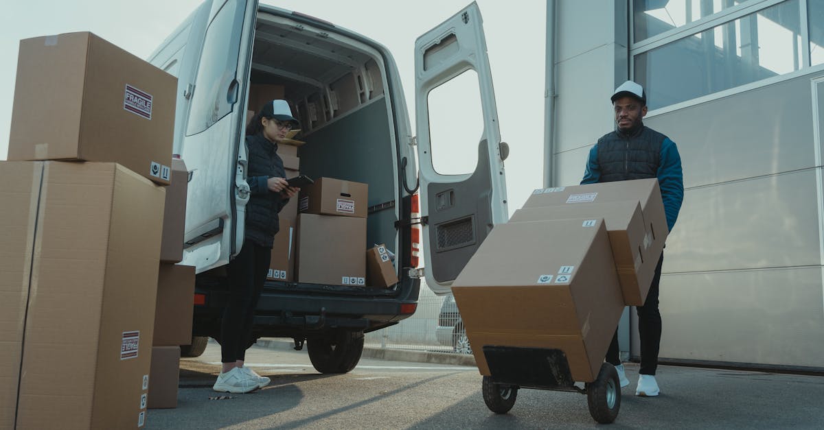 découvrez notre guide complet sur les différentes variétés de camions, des modèles légers aux poids lourds, en passant par les camions utilitaires et spécialisés. trouvez le véhicule idéal pour vos besoins de transport, avec des conseils sur les caractéristiques, les performances et les applications de chaque type.