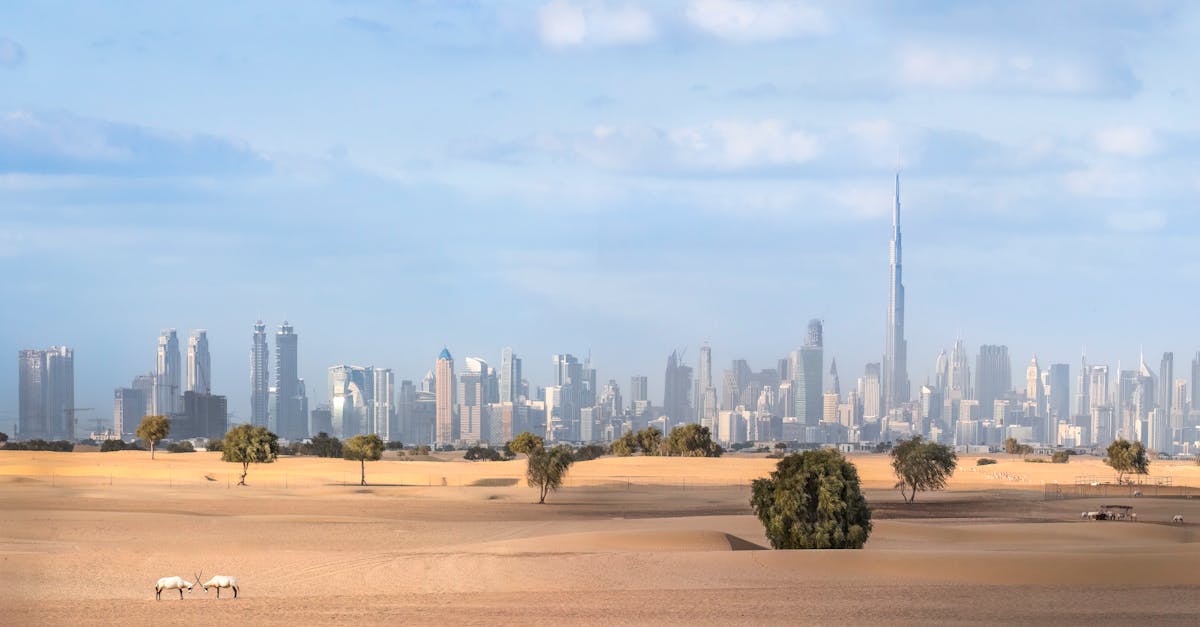 découvrez les merveilles du tourisme aux émirats arabes unis, entre tradition et modernité. explorez des destinations emblématiques comme dubaï et abou dhabi, profitez des plages ensoleillées, et plongez dans une culture riche et diversifiée.
