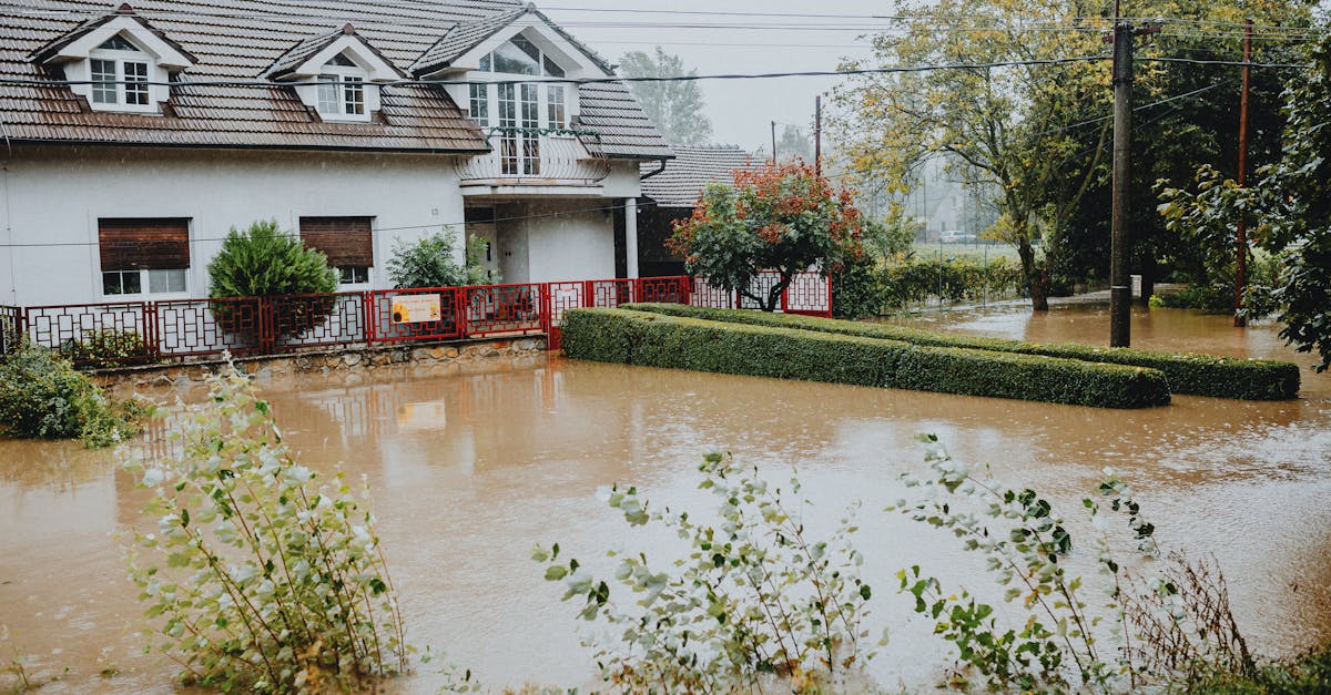 découvrez les solutions efficaces pour gérer les dégâts des eaux. protégez votre maison contre l'humidité et le moisissure avec nos conseils et services professionnels.