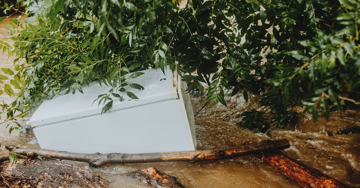 découvrez comment faire face aux dommages causés par l'eau. apprenez les étapes essentielles pour évaluer, réparer et prévenir les dégâts d'eau dans votre maison, afin de protéger votre espace de vie et assurer votre sécurité.