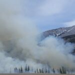 découvrez l'impact dévastateur des incendies de forêt sur l'environnement et les écosystèmes. apprenez-en plus sur les causes, les conséquences et les mesures de prévention pour protéger notre planète contre ces catastrophes naturelles.