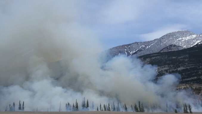 wildfires découvrez l'impact dévastateur des incendies de forêt sur l'environnement et les écosystèmes. apprenez-en plus sur les causes, les conséquences et les mesures de prévention pour protéger notre planète contre ces catastrophes naturelles.