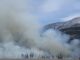 découvrez l'impact dévastateur des incendies de forêt sur l'environnement et les écosystèmes. apprenez-en plus sur les causes, les conséquences et les mesures de prévention pour protéger notre planète contre ces catastrophes naturelles.