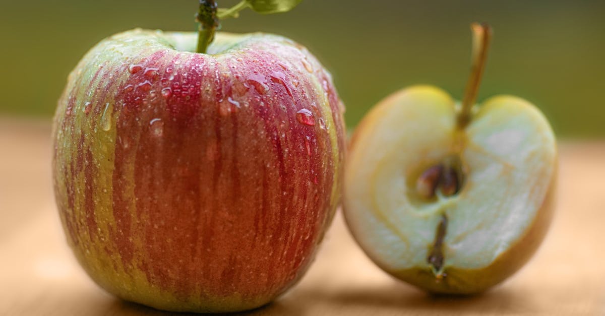 découvrez le système de bonus-malus qui régule les primes d'assurance automobile en france. apprenez comment il fonctionne, ses avantages et comment optimiser votre prime en fonction de votre conduite.