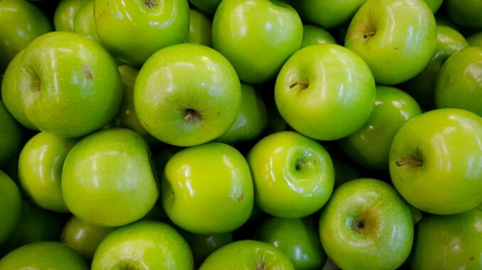 bonus-malus découvrez le système de bonus-malus, un mécanisme qui récompense les automobilistes prudents et pénalise ceux qui causent des accidents. apprenez comment il impacte votre prime d'assurance et optimisez vos choix pour bénéficier d'avantages financiers.